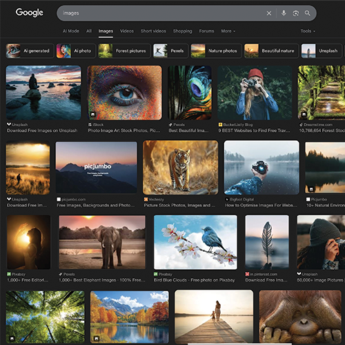 Google search for a random assortment of images to use for Cartogram.