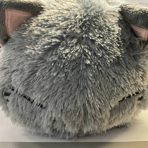 Front angle of the cat plushie I brought.